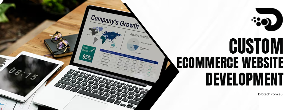 custom ecommerce website development